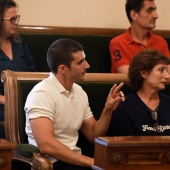 Pleno Ayuntamiento