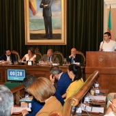 Pleno Ayuntamiento