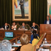 Pleno Ayuntamiento