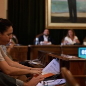 Pleno Ayuntamiento