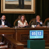 Pleno Ayuntamiento