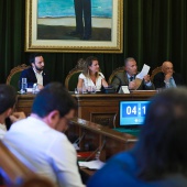 Pleno Ayuntamiento