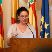 Pleno Ayuntamiento