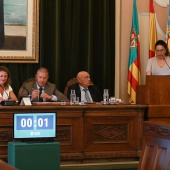 Pleno Ayuntamiento