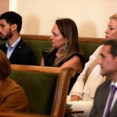 Pleno Ayuntamiento