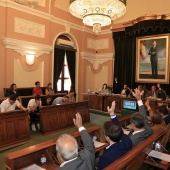 Pleno Ayuntamiento