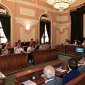 Pleno Ayuntamiento