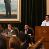 Pleno Ayuntamiento