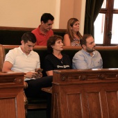 Pleno Ayuntamiento