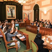 Pleno Ayuntamiento