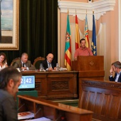 Pleno Ayuntamiento