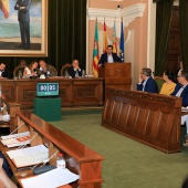 Pleno Ayuntamiento