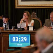 Pleno Ayuntamiento