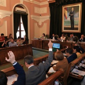 Pleno Ayuntamiento