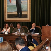 Pleno Ayuntamiento