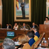 Pleno Ayuntamiento