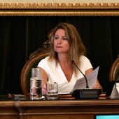 Pleno Ayuntamiento