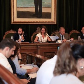 Pleno Ayuntamiento