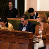 Pleno Ayuntamiento