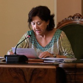 Pleno Ayuntamiento