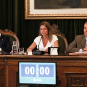 Pleno Ayuntamiento