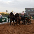 Castellón, Fira Bou per la Vila