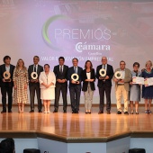 Premios Cámara Castellón 2022