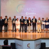 Premios Cámara Castellón 2022