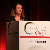 Premios Cámara Castellón 2022