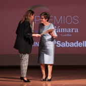 Premios Cámara Castellón 2022