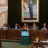 Pleno Castellón