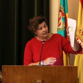 Pleno Castellón