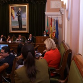 Pleno Castellón