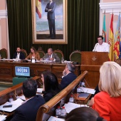 Pleno Castellón