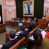 Pleno Castellón