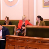 Pleno Castellón