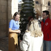 Día de la Banderita de Cruz Roja