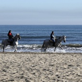 Mares circulares