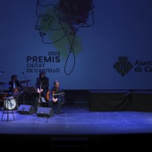 Premis Ciutat de Castelló