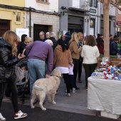 Fireta de Santa Llúcia