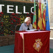 Día de la Constitución