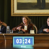 Pleno 21 diciembre 2023