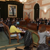 Pleno 21 diciembre 2023