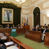 Pleno extraordinario