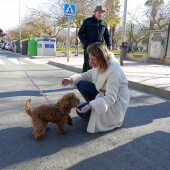 Sant Antoni Abad