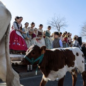 Sant Antoni Abad