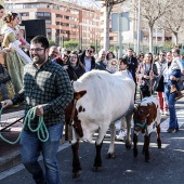 Sant Antoni Abad