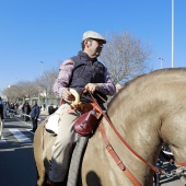 Sant Antoni Abad