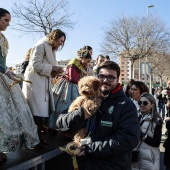 Sant Antoni Abad