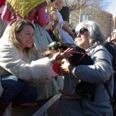 Sant Antoni Abad